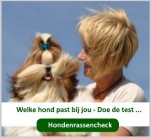 welke-hond-past-bij-mij